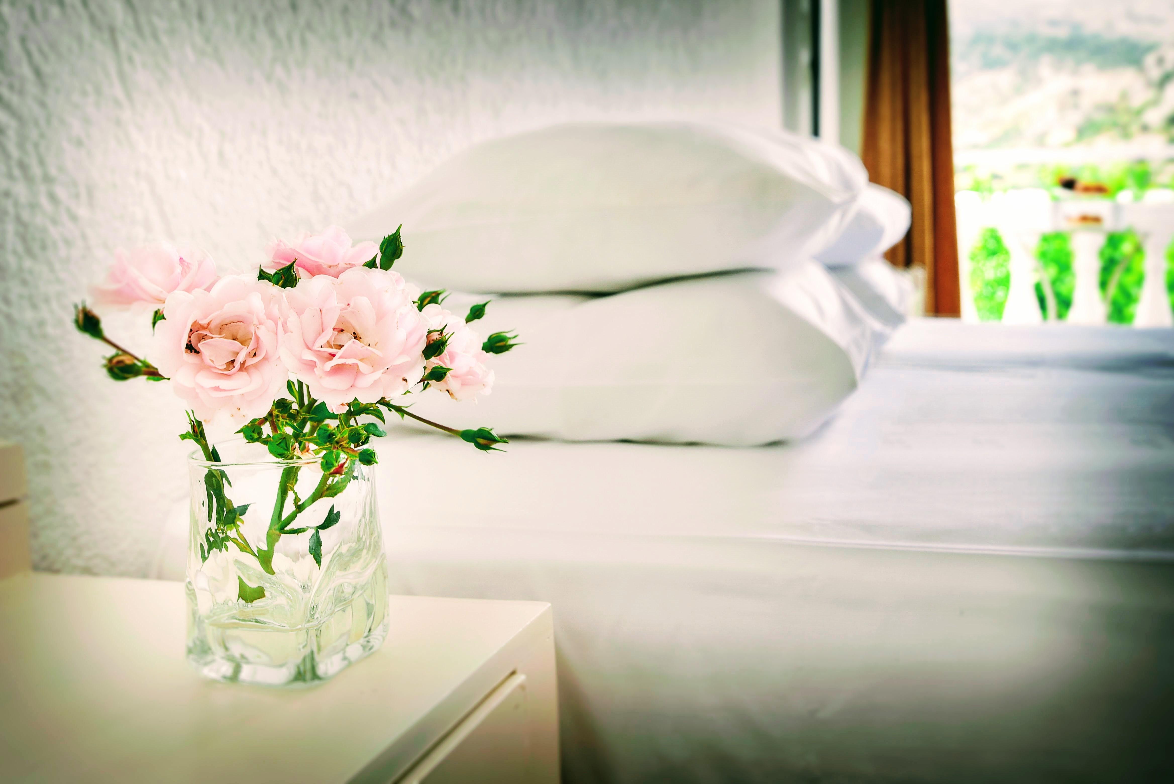Ibiscus Hotel Malia Dış mekan fotoğraf