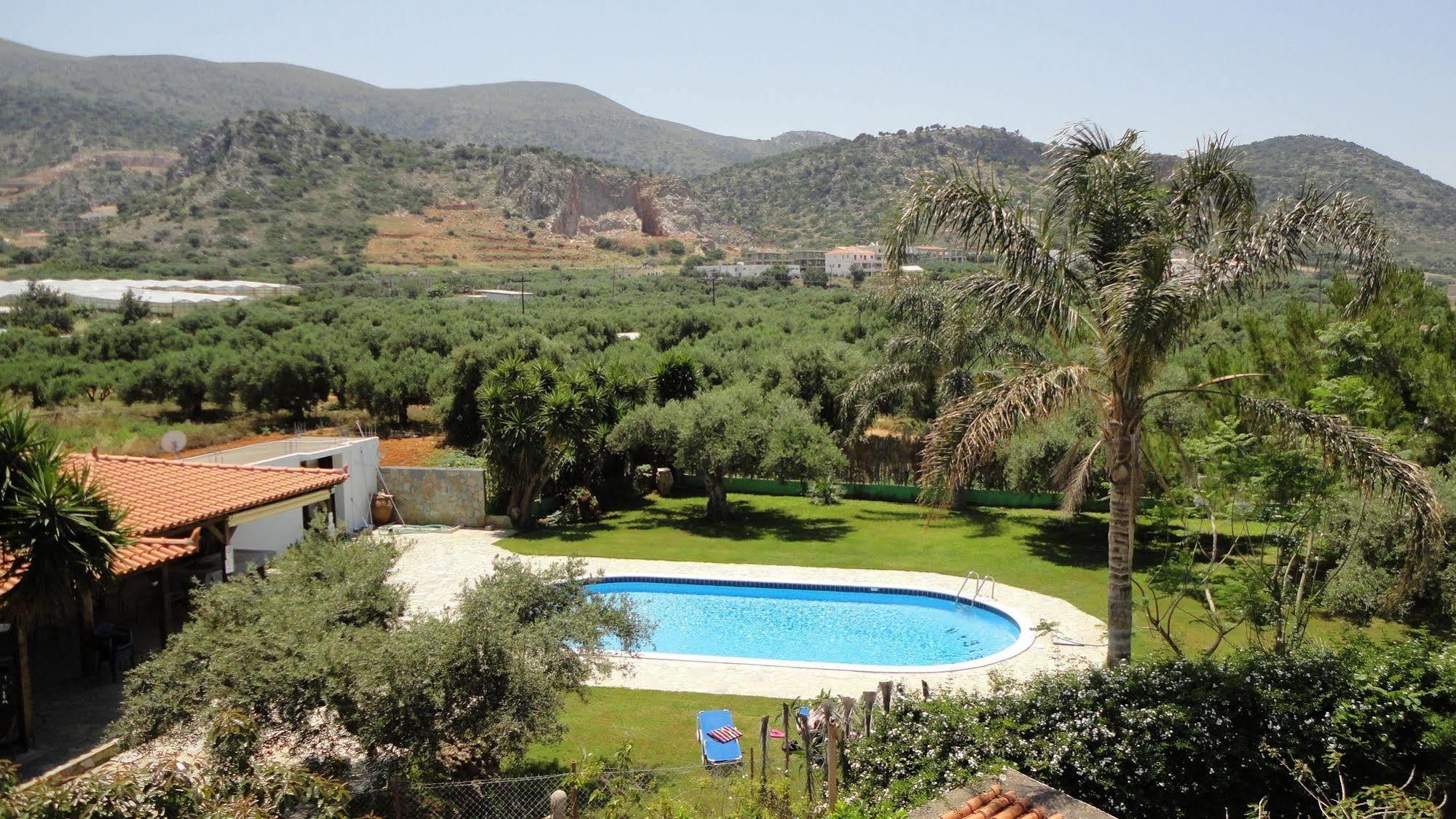 Ibiscus Hotel Malia Dış mekan fotoğraf